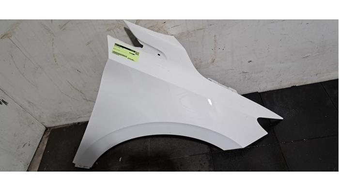 Scherm rechts-voor MG 4