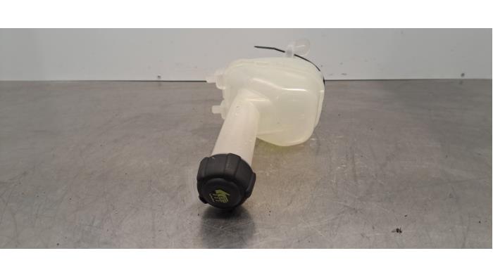 Expansievat Renault Clio