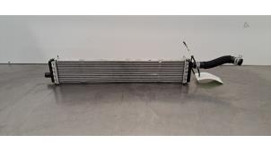 Gebruikte Radiateur Renault Clio V (RJAB) 1.6 E-Tech 145 16V Prijs € 96,80 Inclusief btw aangeboden door Autohandel Didier