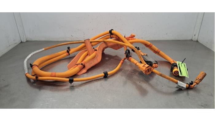 HV kabel (hoog voltage) MG EHS