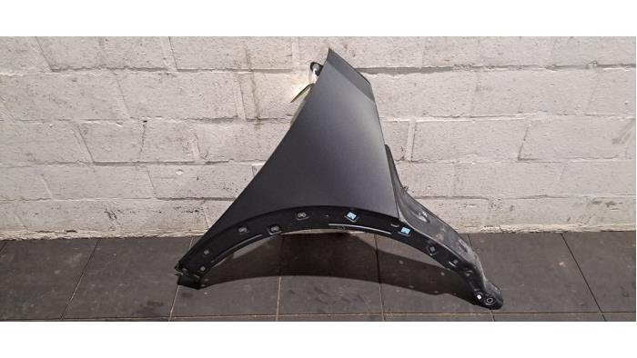 Scherm rechts-voor Hyundai Ioniq