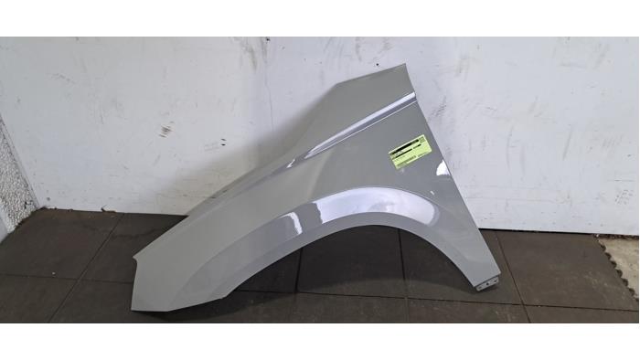 Scherm links-voor Skoda Karoq