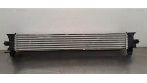 Gebruikte Intercooler Fiat Ducato (250) E-Ducato Prijs € 133,10 Inclusief btw aangeboden door Autohandel Didier