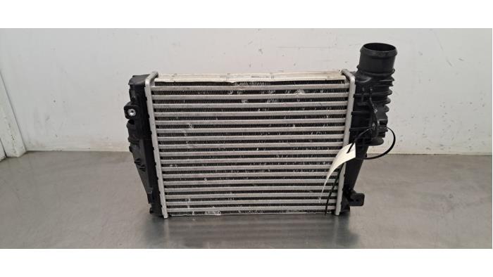 Intercooler Peugeot Expert