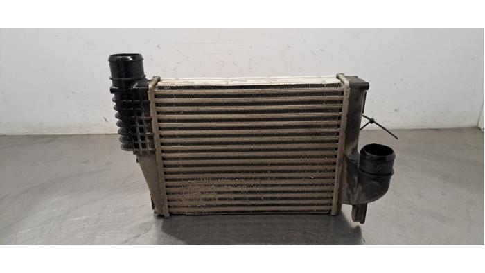 Intercooler Fiat Scudo