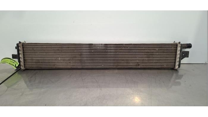 Radiateur Renault Master