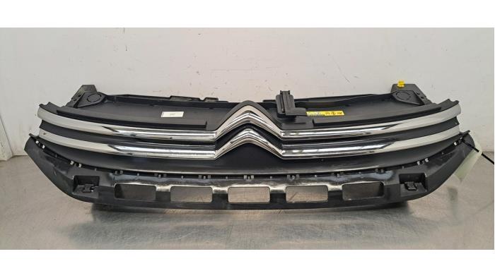 Calandre Citroen C3