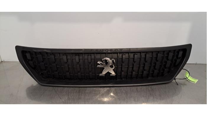 Calandre Peugeot Expert