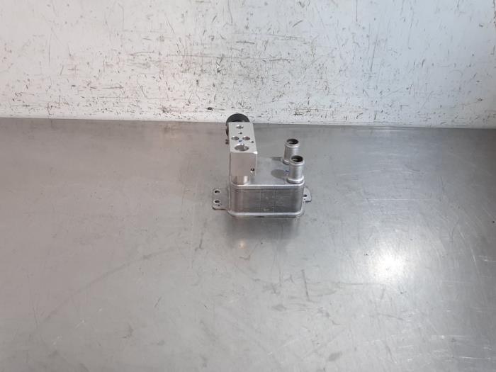 Régulateur de chauffe MG MG4