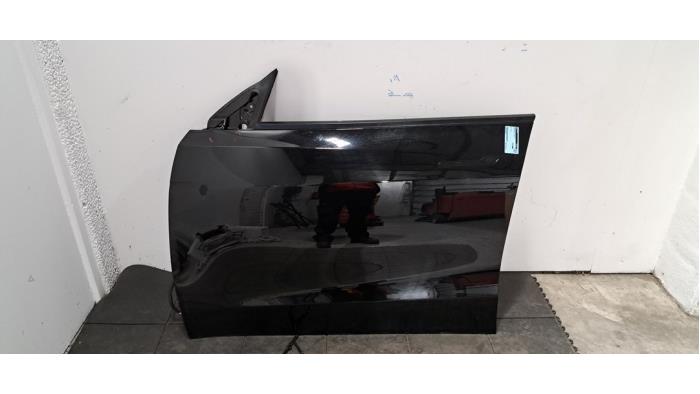 Portière 4portes avant gauche Tesla Model Y