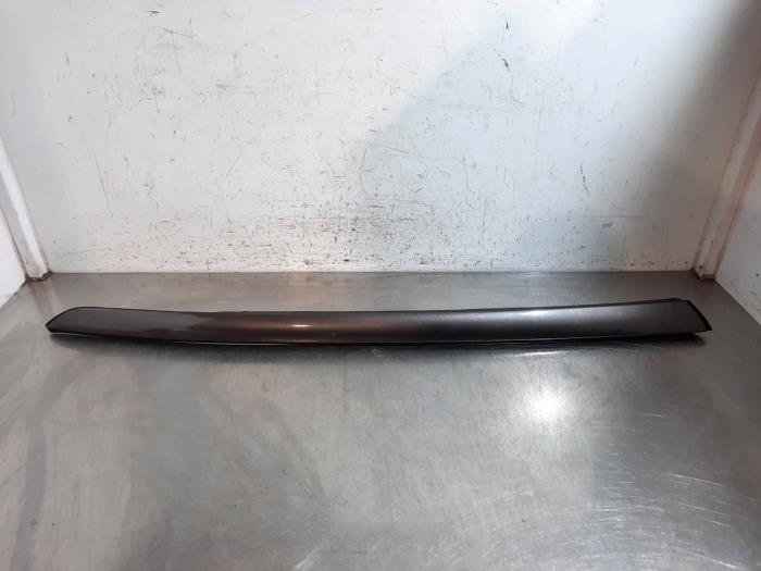 Moulure extérieure Style B Citroen C4 Picasso