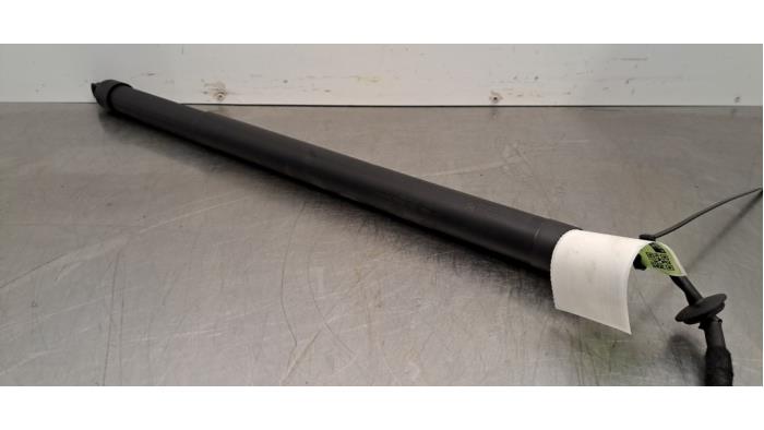 Amortisseur à gaz arrière gauche DS Automobiles DS7 Crossback