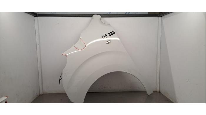 Aile avant gauche Peugeot Expert