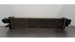 Gebruikte Radiateur Fiat Talento 2.0 EcoJet BiTurbo 145 Prijs € 133,10 Inclusief btw aangeboden door Autohandel Didier