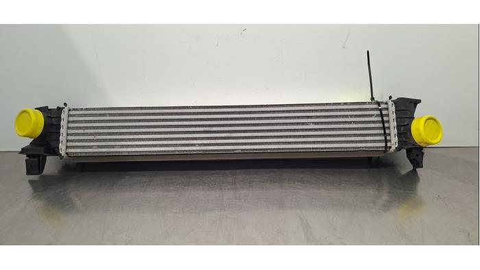 Intercooler Fiat Ducato