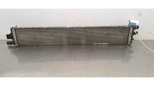 Gebruikte Intercooler Renault Master III (EV/HV/UV/VA/VB/VD/VF/VG/VJ) 2.3 dCi 165 16V FWD Prijs € 60,50 Inclusief btw aangeboden door Autohandel Didier