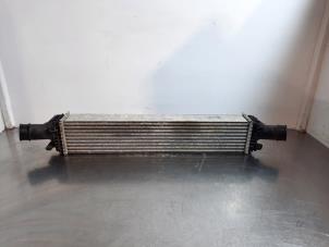 Gebruikte Intercooler Audi A5 (8T3) 3.0 TDI V6 24V Quattro Prijs € 66,55 Inclusief btw aangeboden door Autohandel Didier