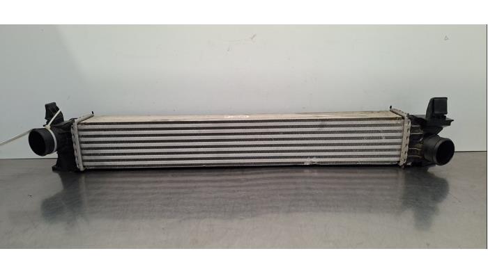 Intercooler Opel Movano