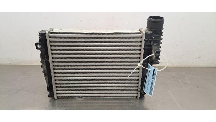 Intercooler Citroen Jumpy