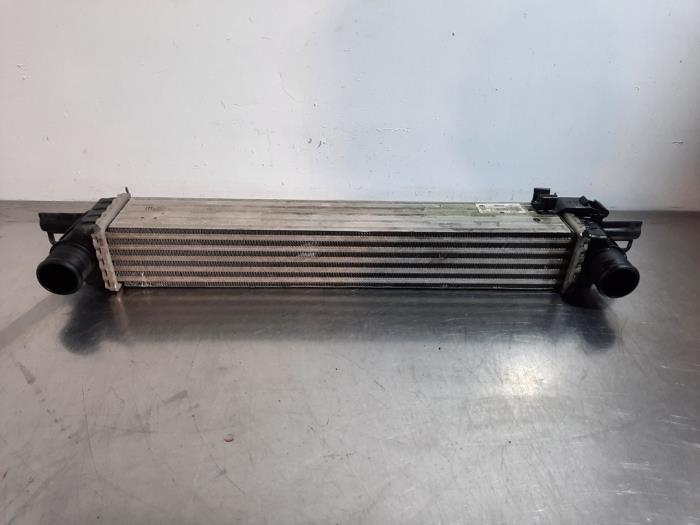 Intercooler Fiat Fiorino