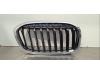 BMW 2 serie Gran Tourer (F46) 216i 1.5 TwinPower Turbo 12V Grille