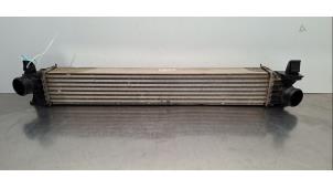 Gebruikte Intercooler Peugeot Boxer (U9) 2.2 Blue HDi 120 Prijs € 121,00 Inclusief btw aangeboden door Autohandel Didier