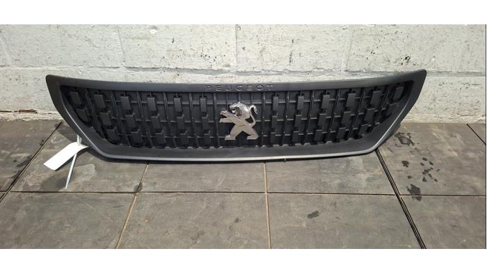 Calandre Peugeot Expert