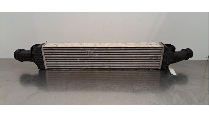 Intercooler Audi Q5