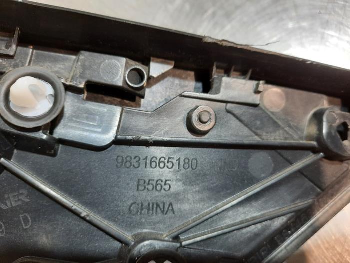 Sierstrip van een Peugeot 2008 (UD/UK/UR/US/UX) 1.5 BlueHDi 130 2023