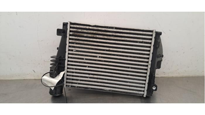 Intercooler Peugeot Expert