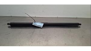 Gebruikte Kofferdekseldemper rechts-achter Ford Kuga III (DFK) 1.5 EcoBlue Prijs € 133,10 Inclusief btw aangeboden door Autohandel Didier