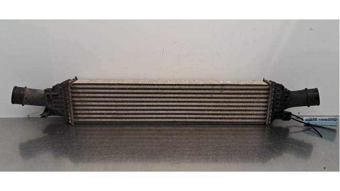 Intercooler Audi A4