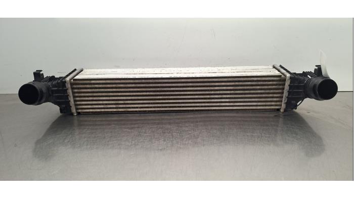 Intercooler Opel Astra