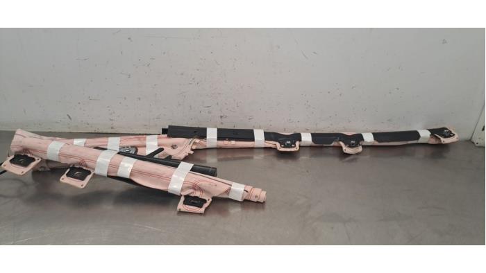 Airbag plafond gauche Ford Puma