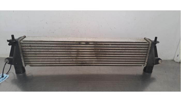 Intercooler Isuzu D-MAX