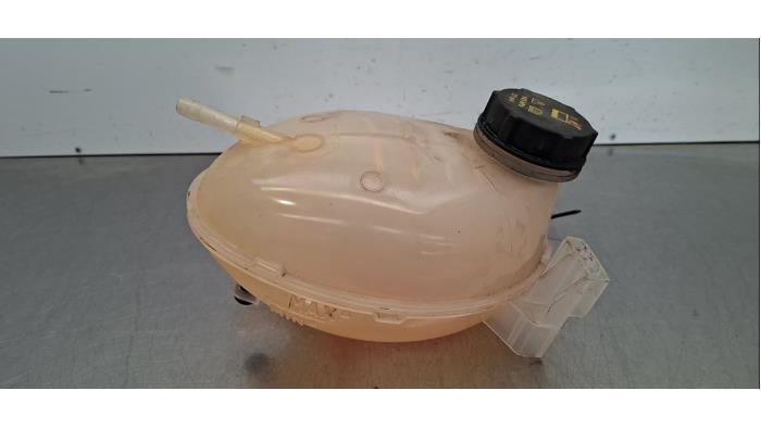 Réservoir d'expansion Ford Ecosport