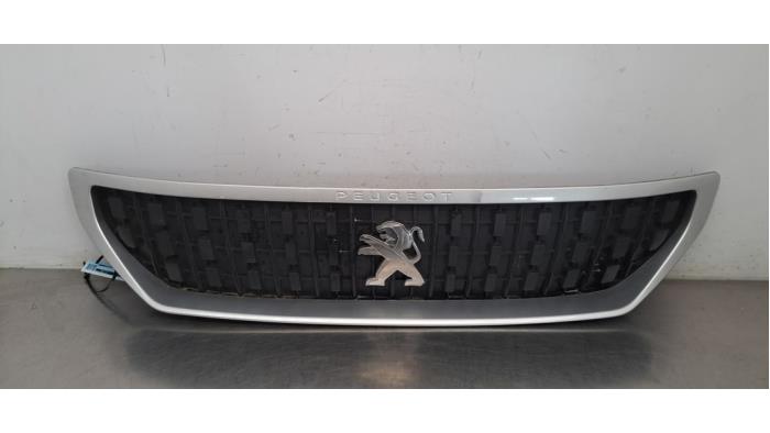 Calandre Peugeot Expert