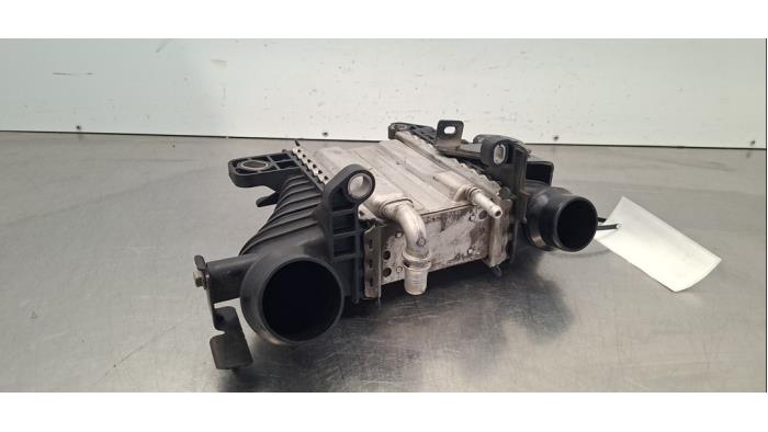 Intercooler Renault Clio