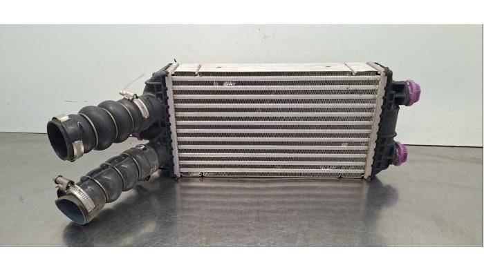 Intercooler Citroen C3