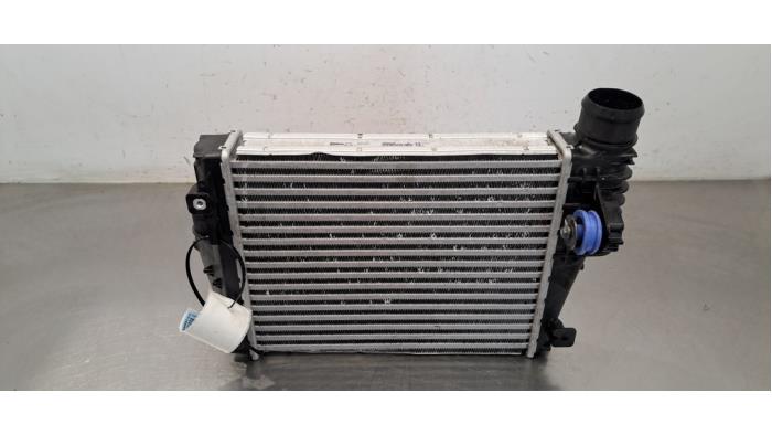 Intercooler Peugeot Expert