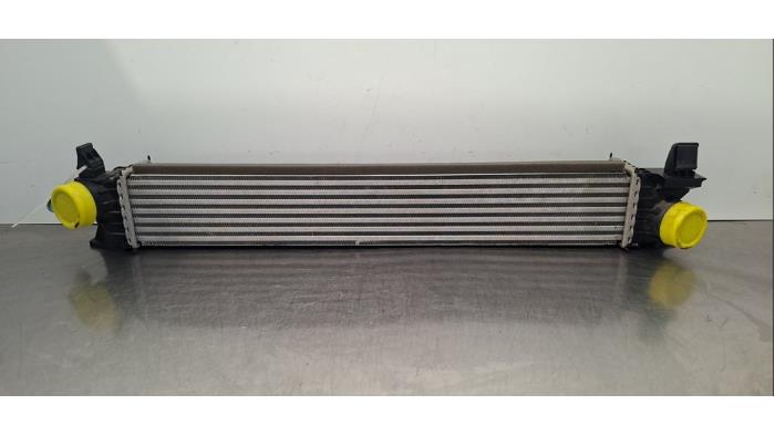 Intercooler Fiat Ducato