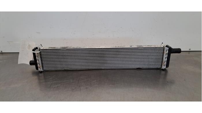 Radiateur Renault Clio