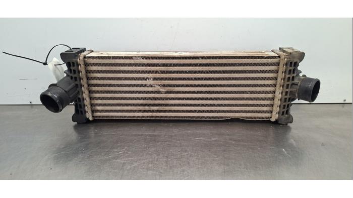 Intercooler Ford Transit