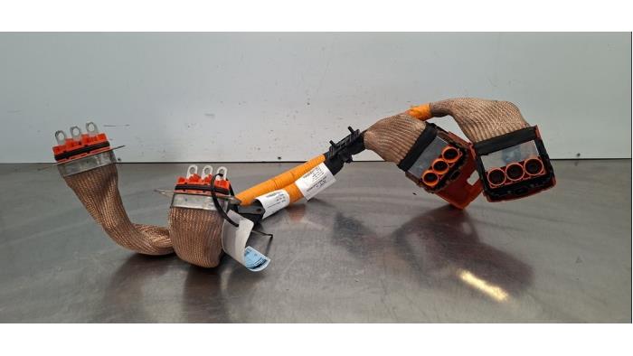 Câble haute tension Renault Clio