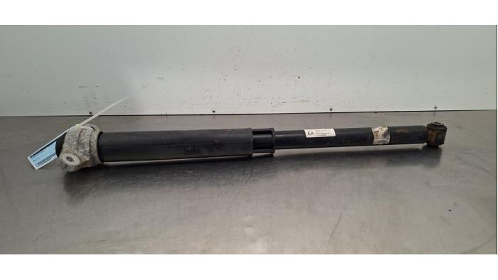 Amortisseur arrière droit Ford Focus