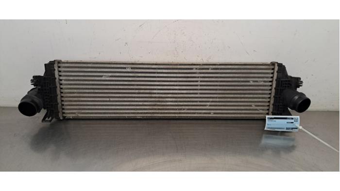 Intercooler Ford Focus
