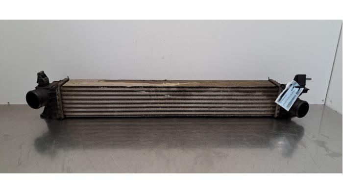 Intercooler Citroen Jumper