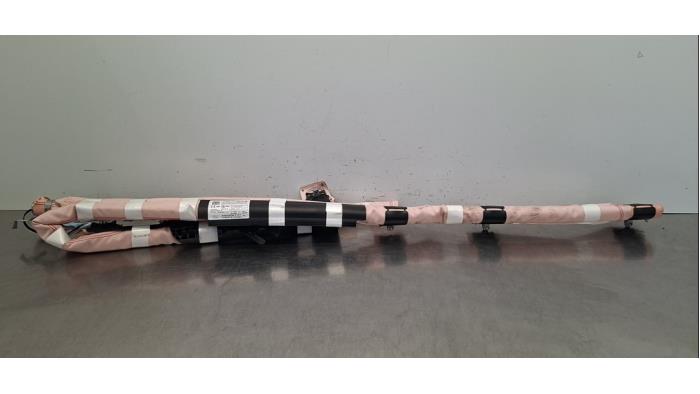 Airbag plafond gauche Ford Puma