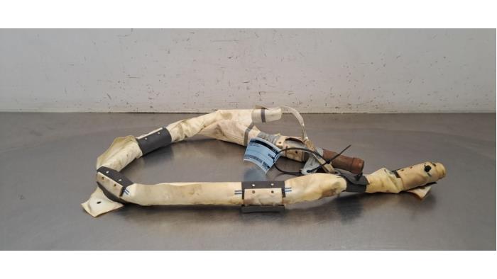 Airbag plafond droite Tesla Model X