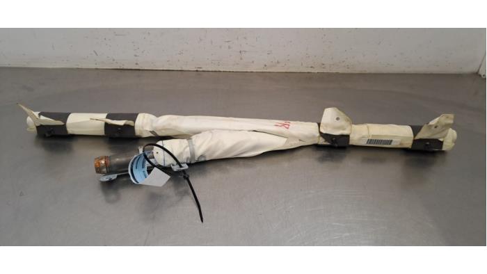 Airbag plafond Tesla Model X